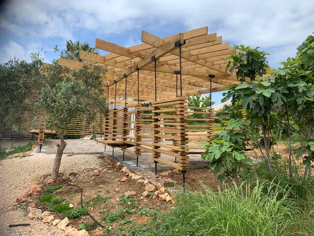 Ramat-Begin-Haifa-Pergola - one year later Ramat-Begin-Haifa-Pergola - one year later